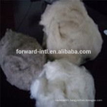 Top Quality On Sale with Best Price Pure Cashmere Fiber